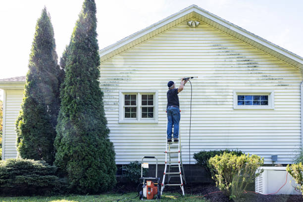 Best House Pressure Washing  in Broadlands, VA